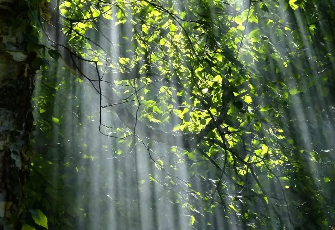 燕赵古诗词,赵建军书法作品欣赏