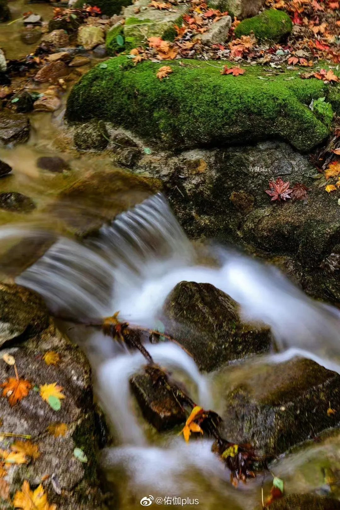 初秋的济南九如山风景秀丽美如画,济南九如山金秋十月