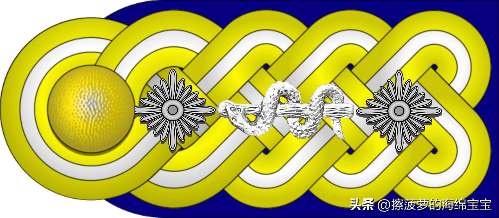 二战德国国防军医疗兵军衔标志