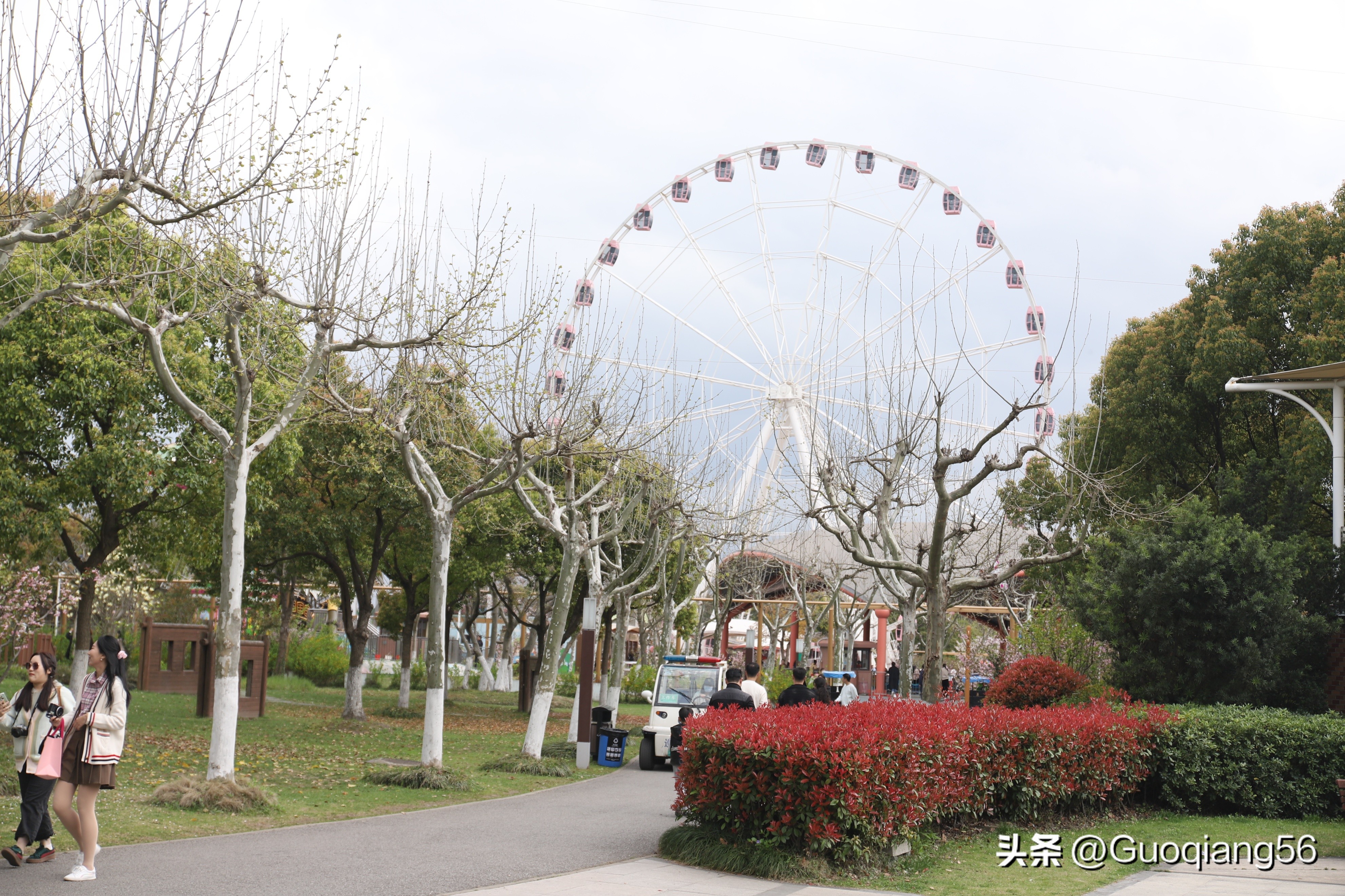 上海免费的公园有哪些,上海老年人免费公园