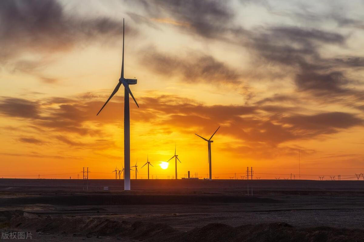 山东省就业最好的专科学校排名,山东最好就业的四个专科学校