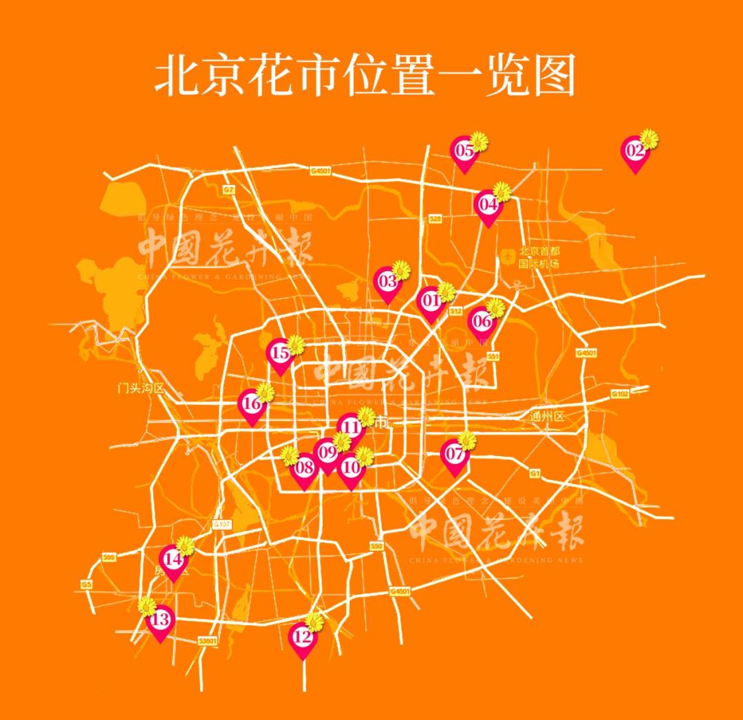 保姆级购物攻略,花市潜规则大揭秘教你怎么买花