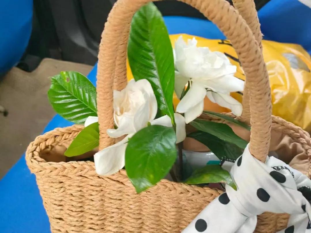 不想上班了就做点什么副业,不爱上班的人能干什么副业