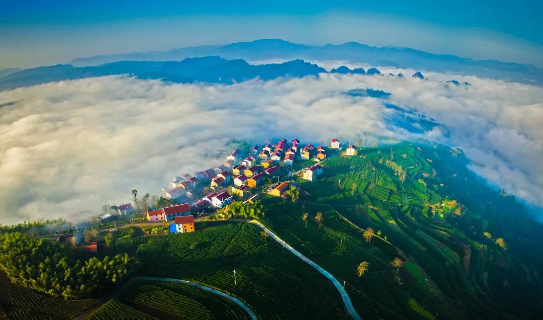 浙江世界最佳旅游乡村是,4村入选世界最佳旅游乡村