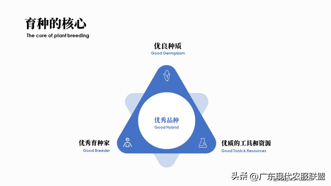 国内涉农企业有哪些,中国涉农企业2019排行榜