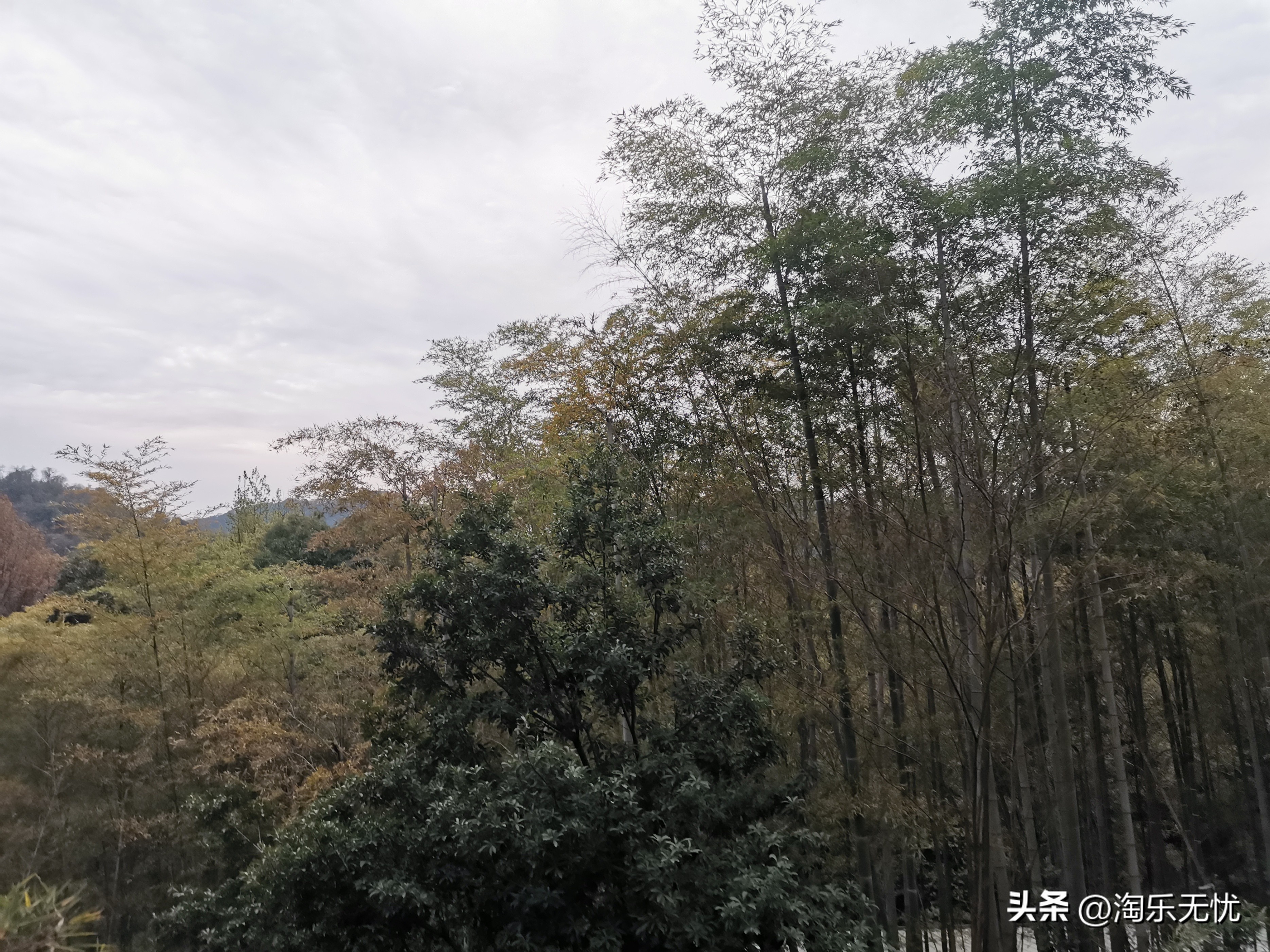 灵隐飞来峰爬上灵隐寺需要多久,杭州景点飞来峰和灵隐寺介绍