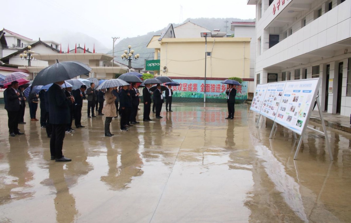 镇安观摩会重点项目,镇安县交流会