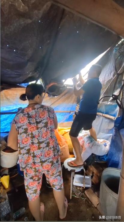 心疼!全红婵家遭台风重创,不少果树被吹断,父母合力修理破损房顶