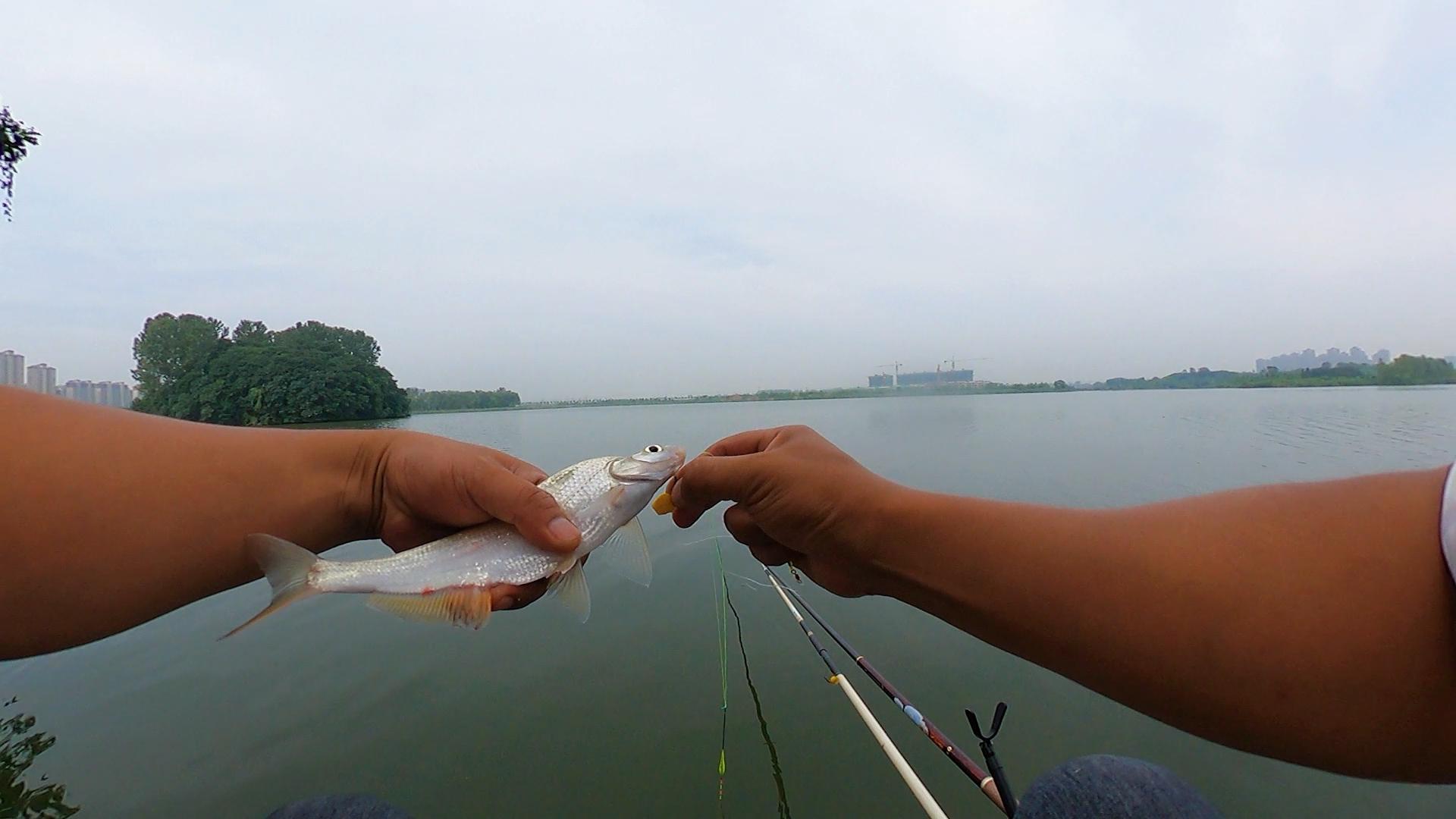 夏天鱼口很轻该怎样看漂,天冷鱼口轻漂调几目