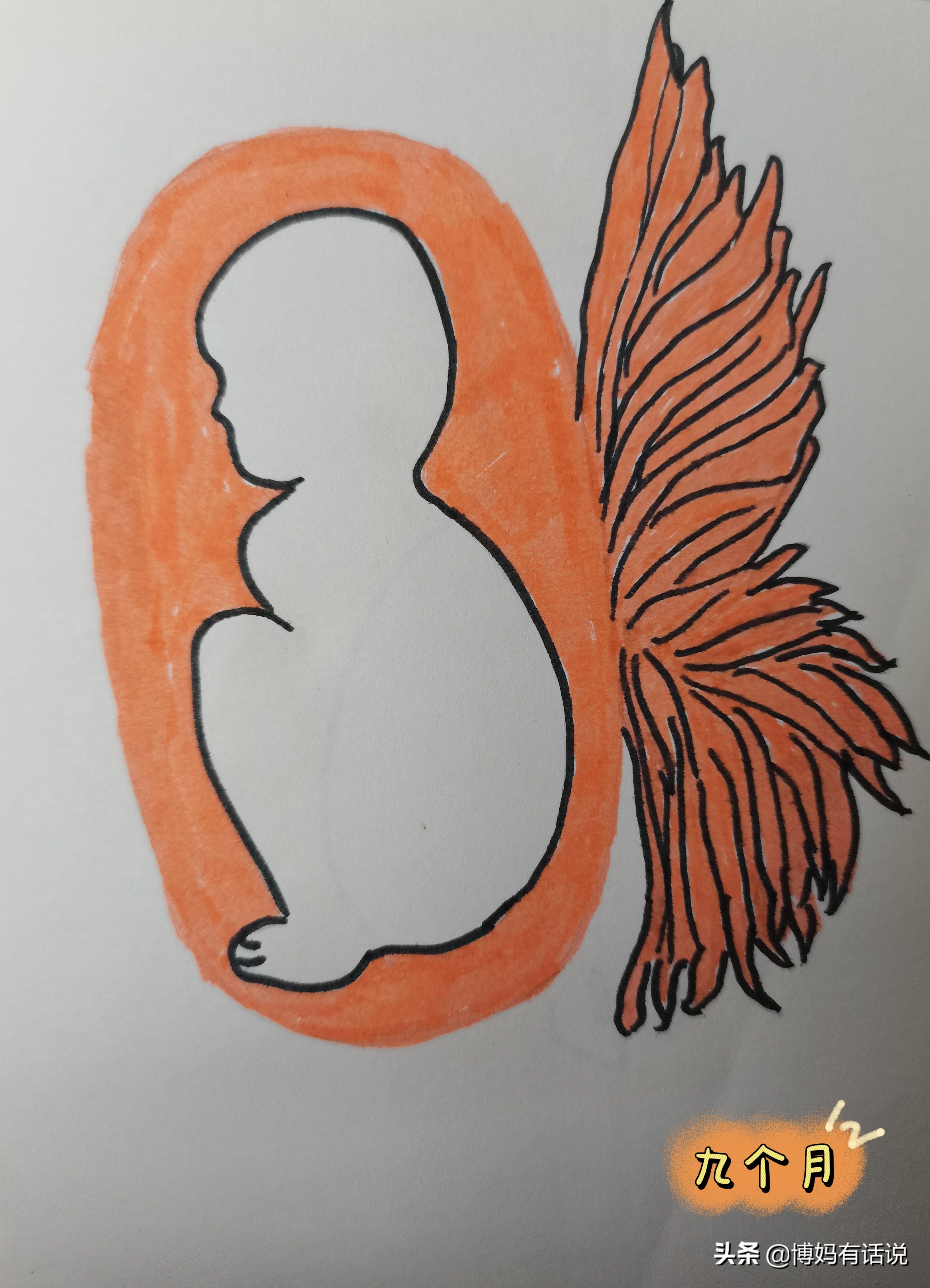 孕期各阶段产检项目,怎么知道孕期查什么