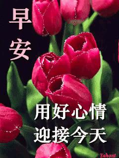 早安心语淡定从容悠然自得,简简单单平平淡淡的早安心语