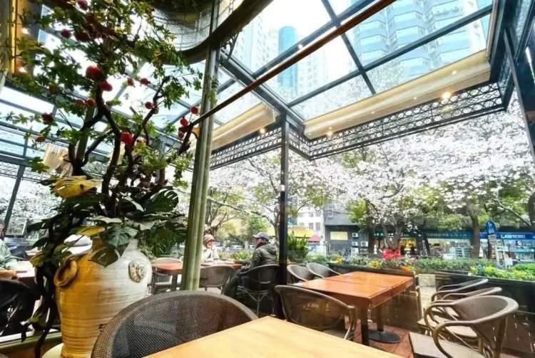 虹口公园美食,虹口可以看樱花的餐厅