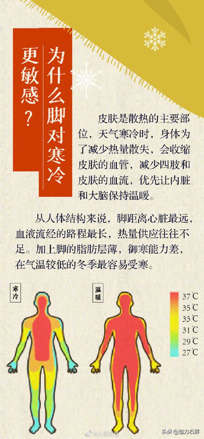 怕冷的同学,怕冷脚凉的人怎么调理