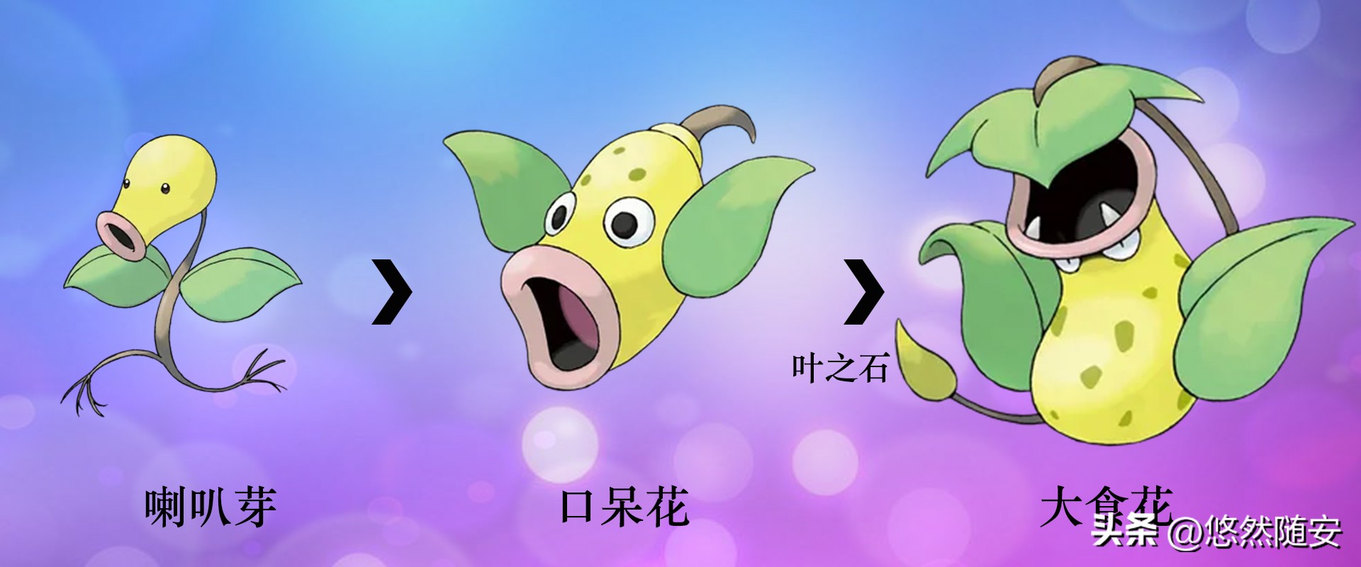 宝可梦所有御三家进化形态,宝可梦小火狐进化形态