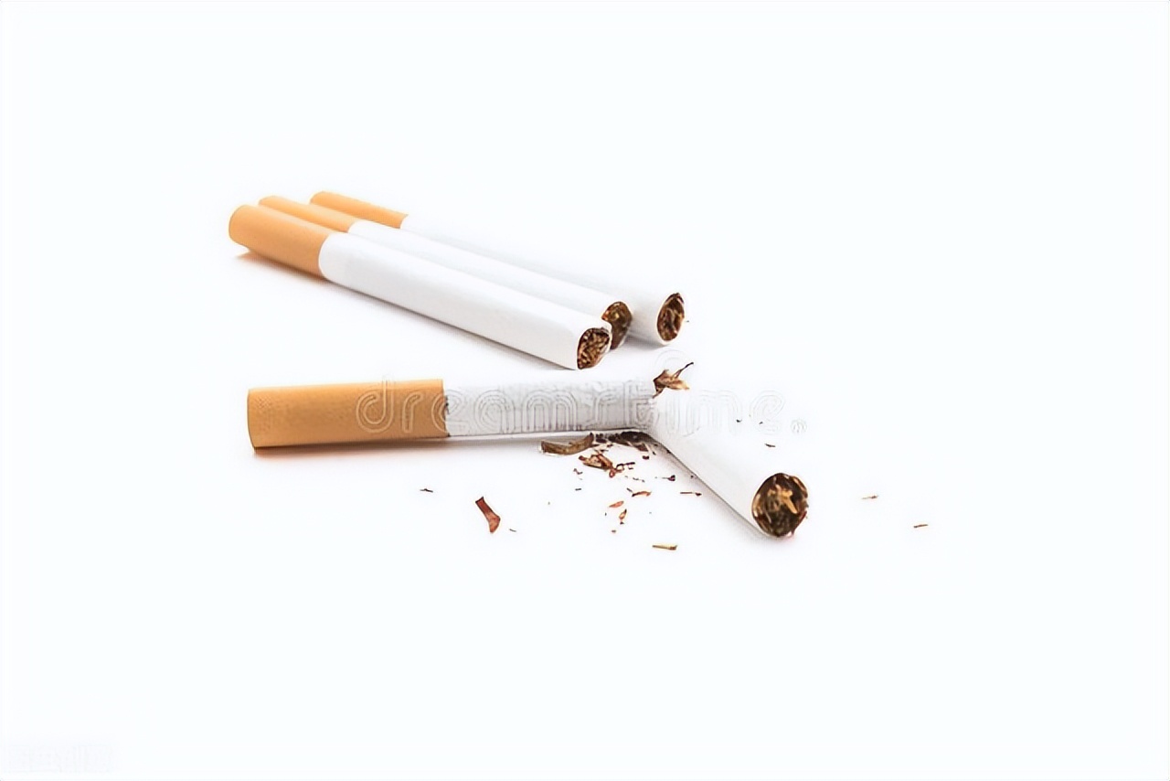 草产业的发展现状与展望,草产业发展现状与展望