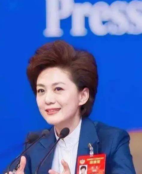 央视新闻联播女主持人海霞,央视主持人海霞气质照片