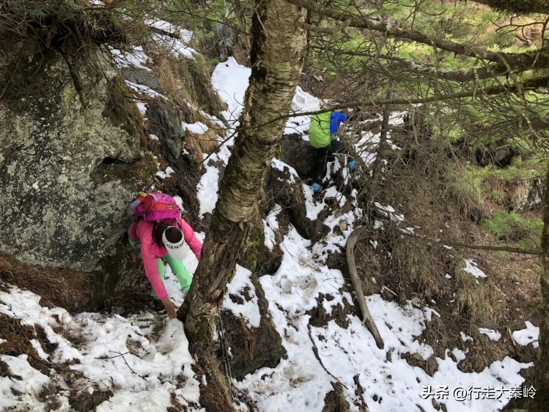 首阳山穿越大坪梁景色怎么样,大坪梁穿越到首阳山攻略