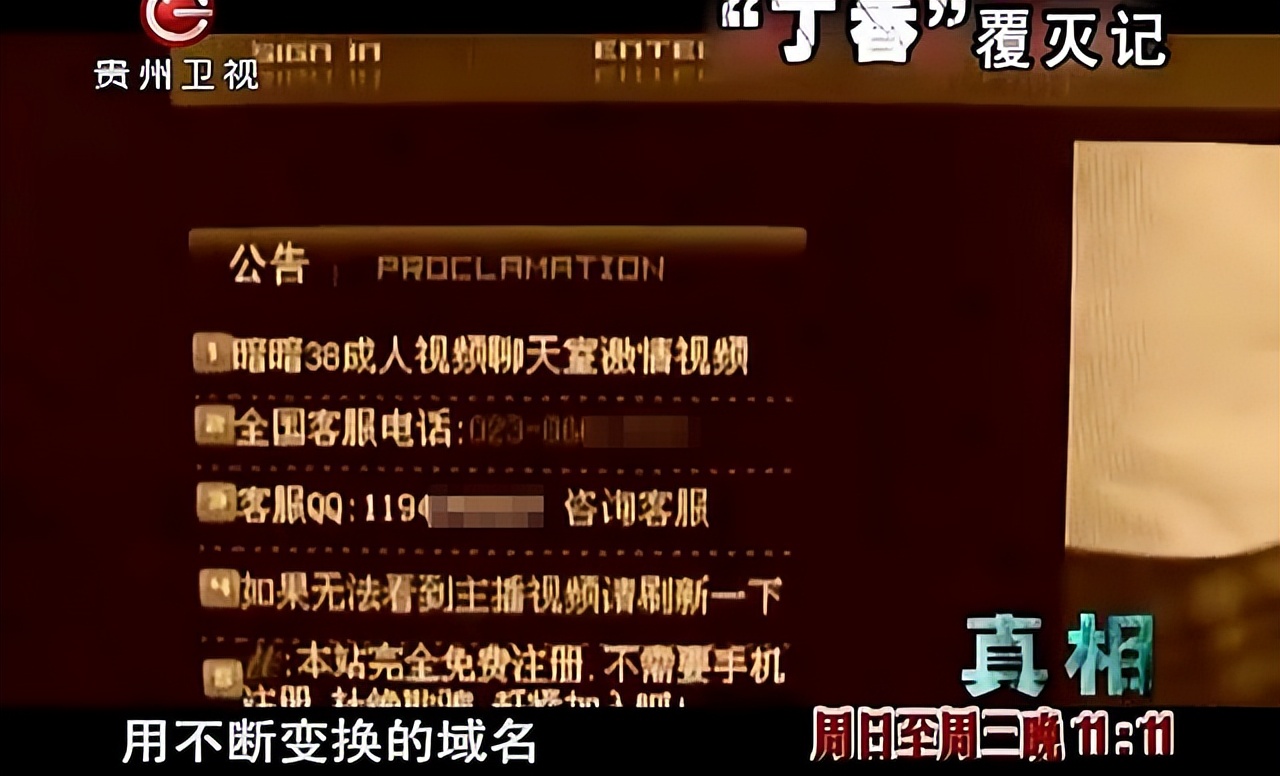 丁香网覆灭,丁香覆灭记完整版免费观看