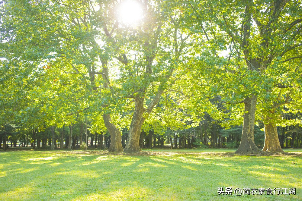 她做保姆这些年豪门生活246,她做保姆这些年豪门生活16