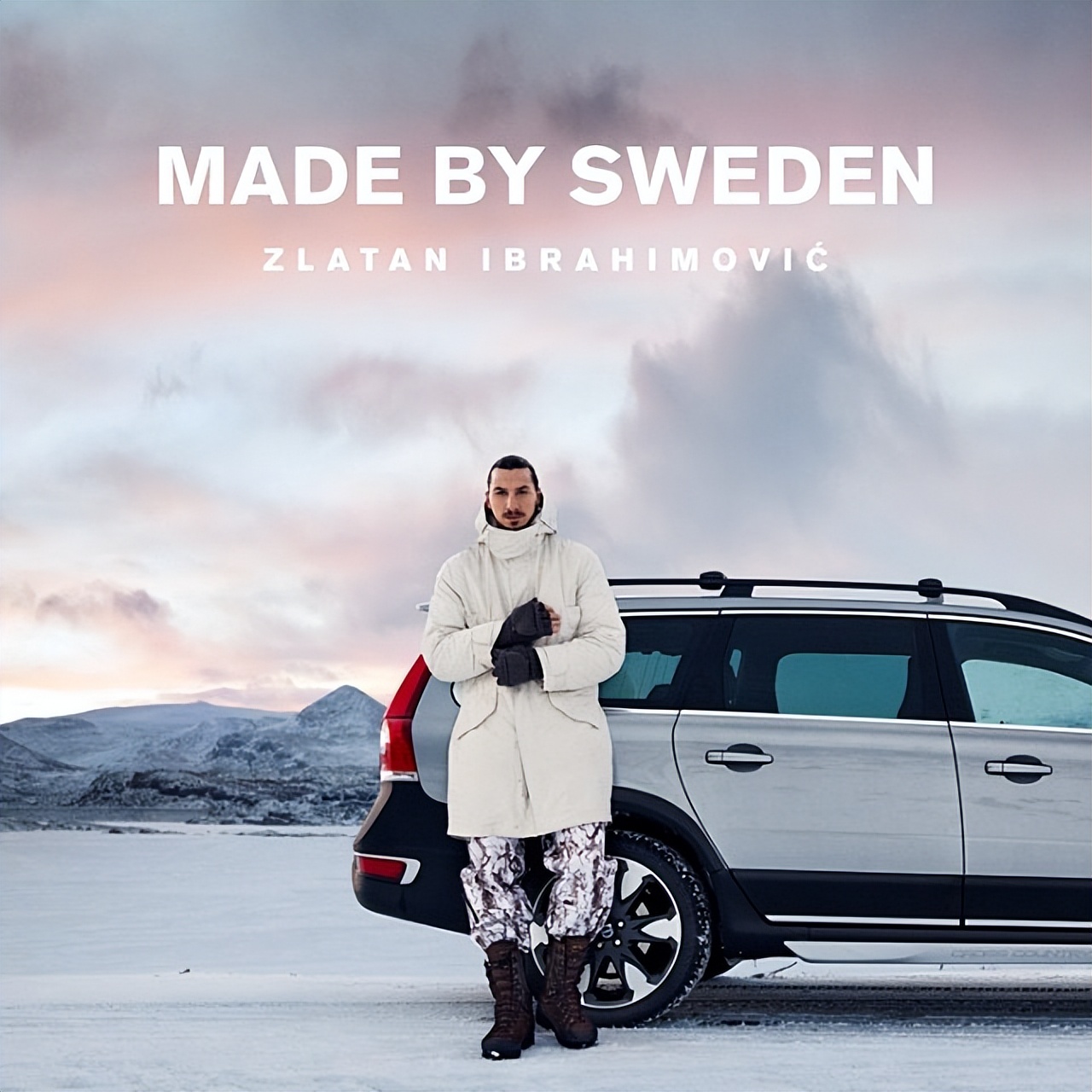 伊布拉希莫维奇的车,伊布豪车豪宅