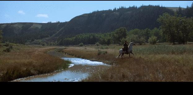 只因一句“太小了！”，竟惨遭毁容，不想引来一个传奇杀手。