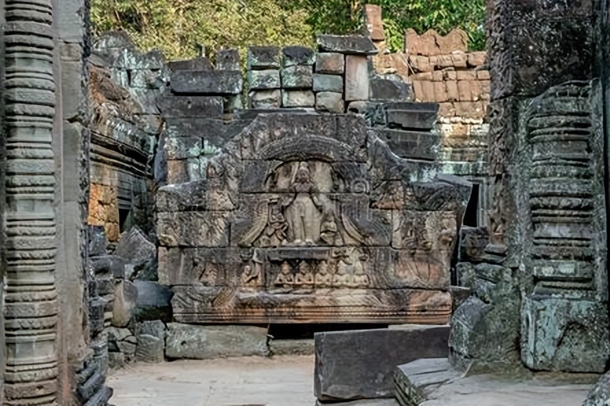 贝壳的历史种类和用途,贝壳的历史种类和用途介绍