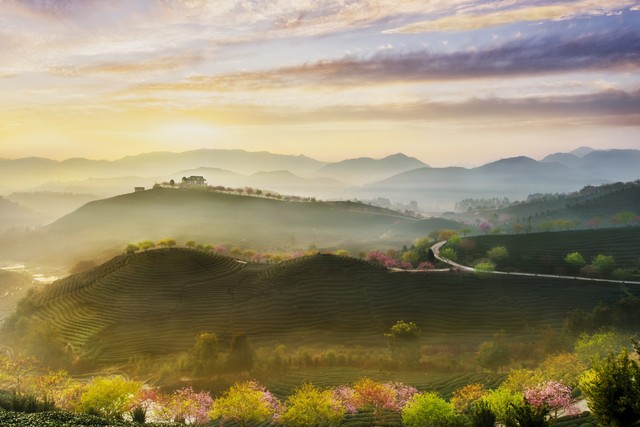 直播间冲动消费段子,直播间冲动消费买衣服