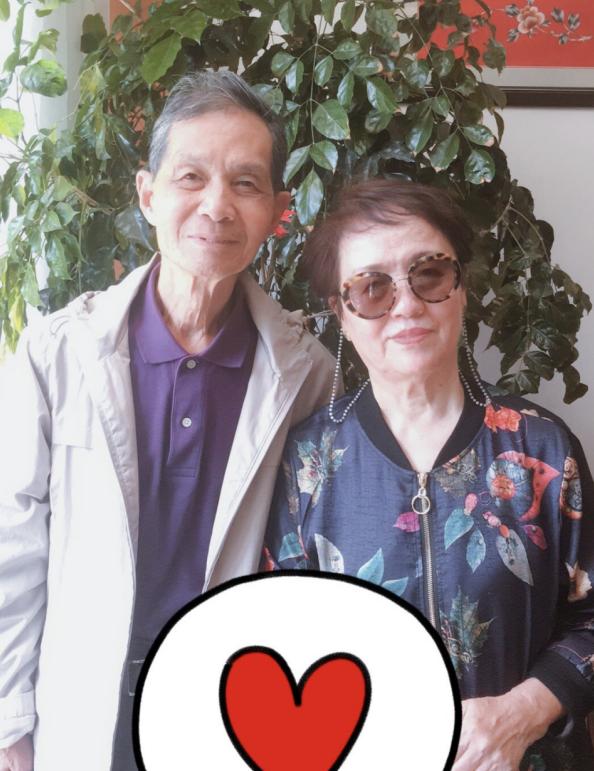 朱媛媛被安慰,朱媛媛驯夫有方