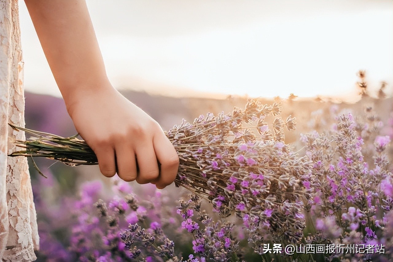 欣赏一个人始于颜值更敬于才华,欣赏一个人始于颜值久于人品