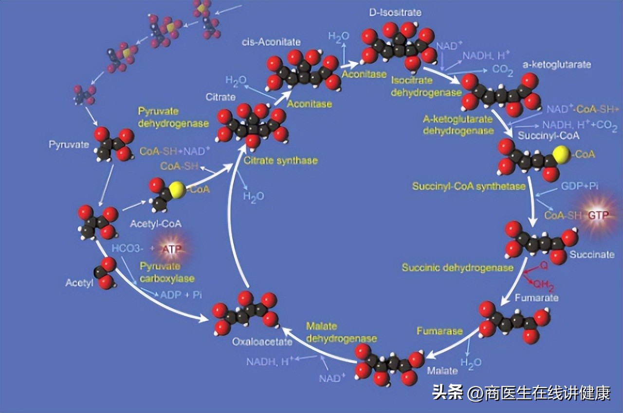 长期服用维生素会造成肝损伤吗,乱吃维生素导致肝衰退