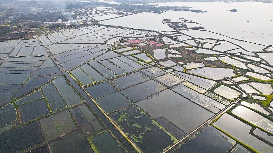 鄂州市泽林镇最新消息,鄂城区泽林镇泽林街