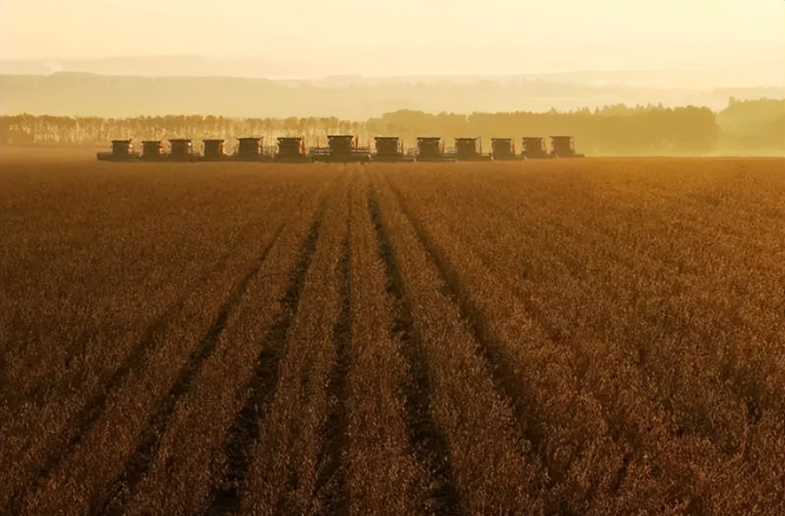 北大荒为什么退林还耕,北大荒垦荒什么时候开始的