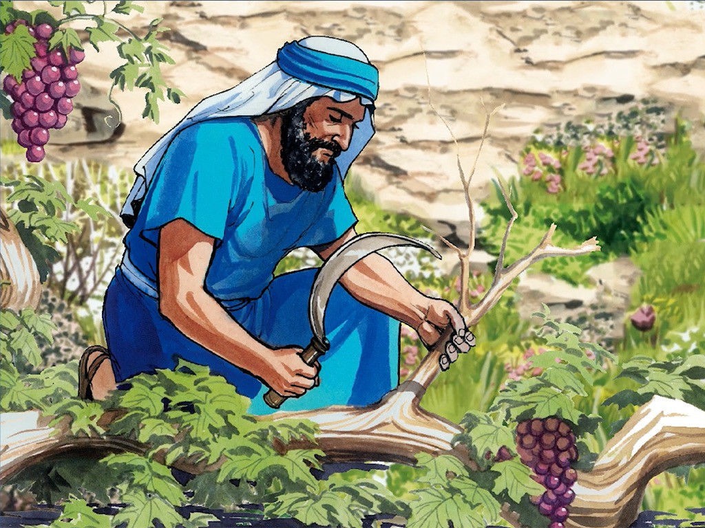 如何判断酒的优和劣,关于酒的三个常识