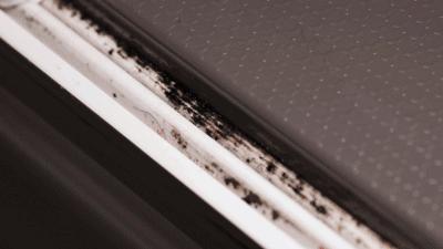 屋里潮湿起霉斑怎么去除,潮湿发霉怎么快速消除霉点