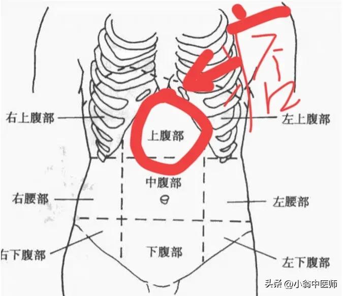 半夏泻心汤加减治胃肠湿热医案,半夏泻心汤治胃肠动力差