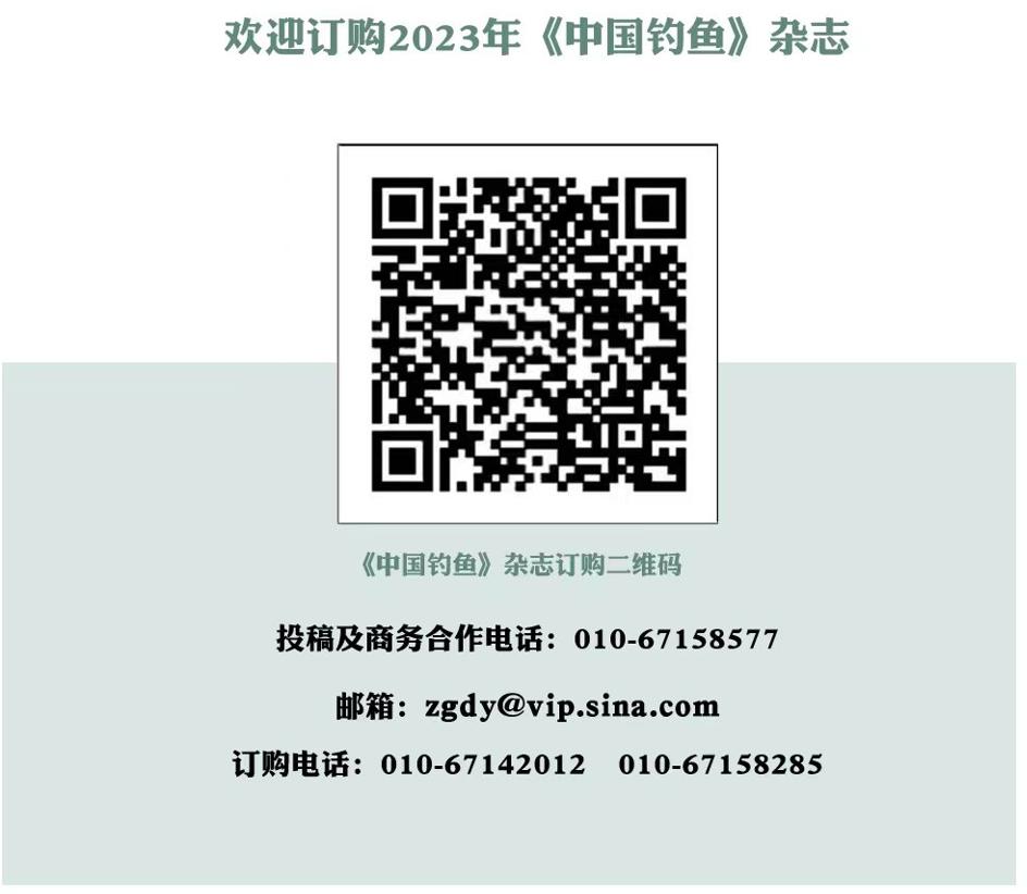 翘嘴用饵作钓口诀,翘嘴鱼拟饵