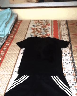 养猫新手想养黑猫要注意什么,养猫比较推荐养黑猫