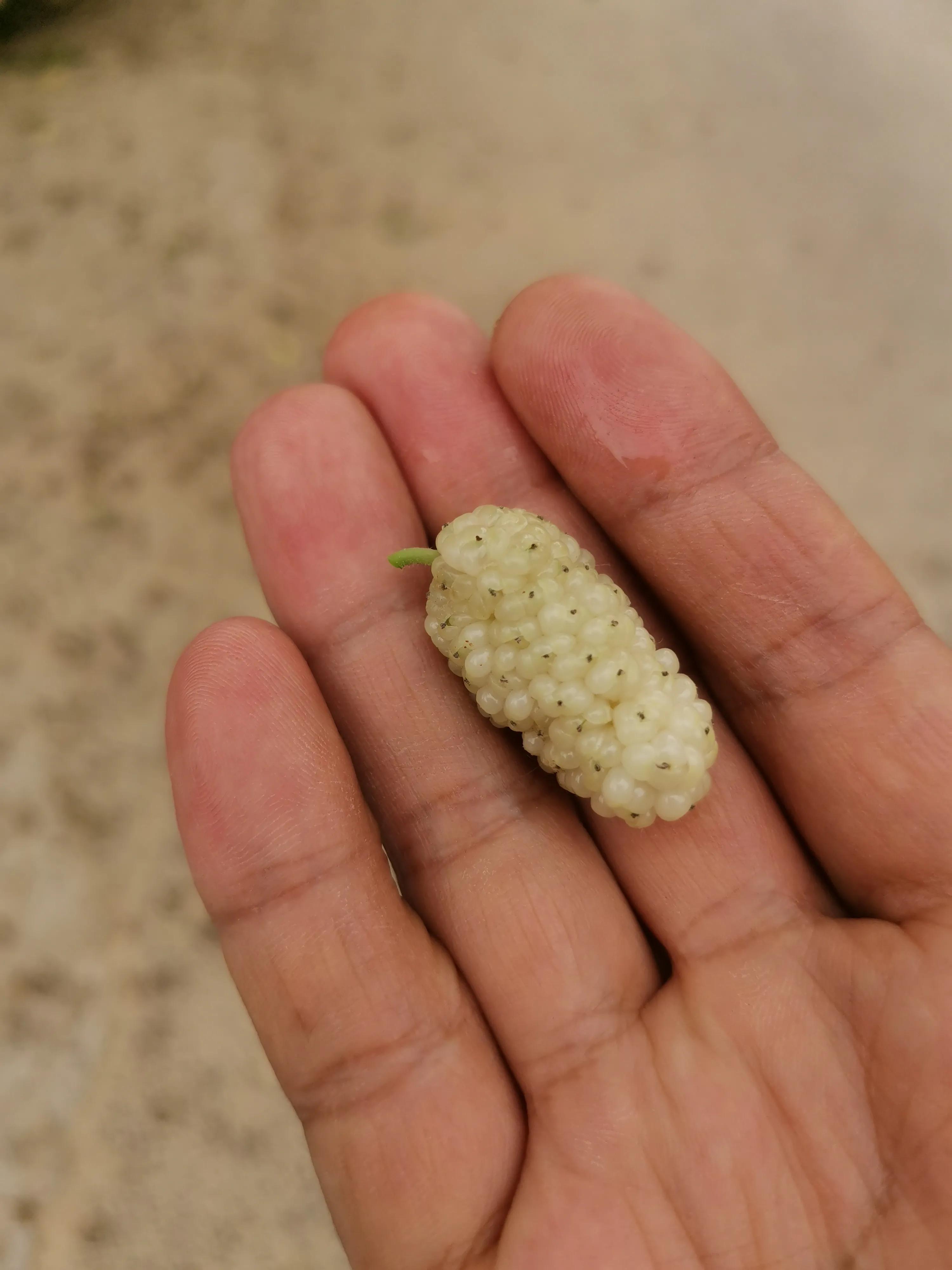 骑行新疆喀什噶尔,和田至阿拉尔沙漠公路骑行攻略