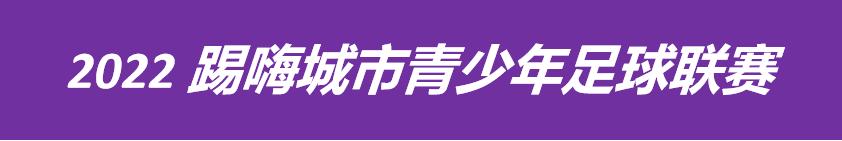 2020合肥市足球联赛,城市足球联赛合肥赛区