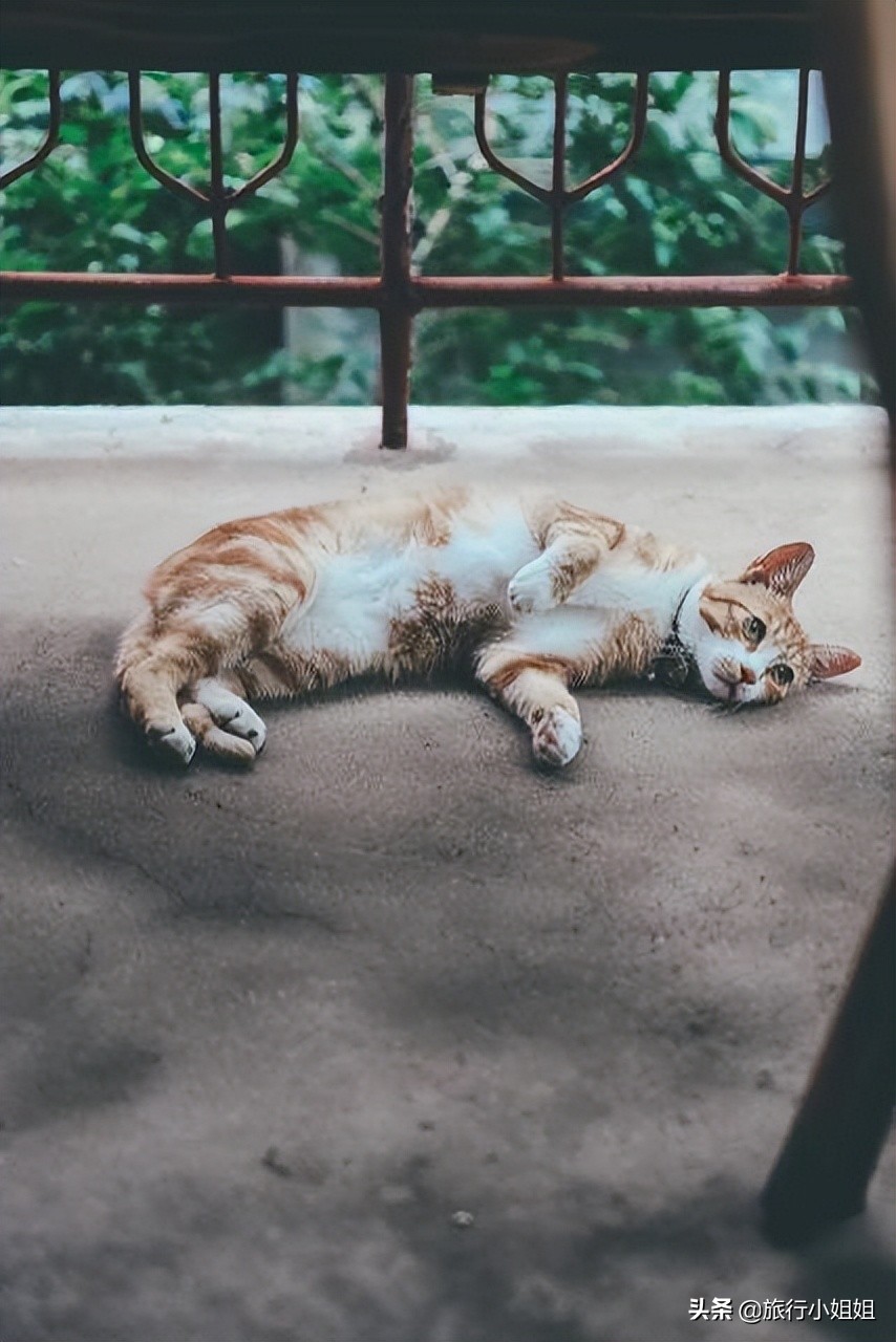 夏日海边浪漫迷人,滨城风光秀丽浪漫气息爆表