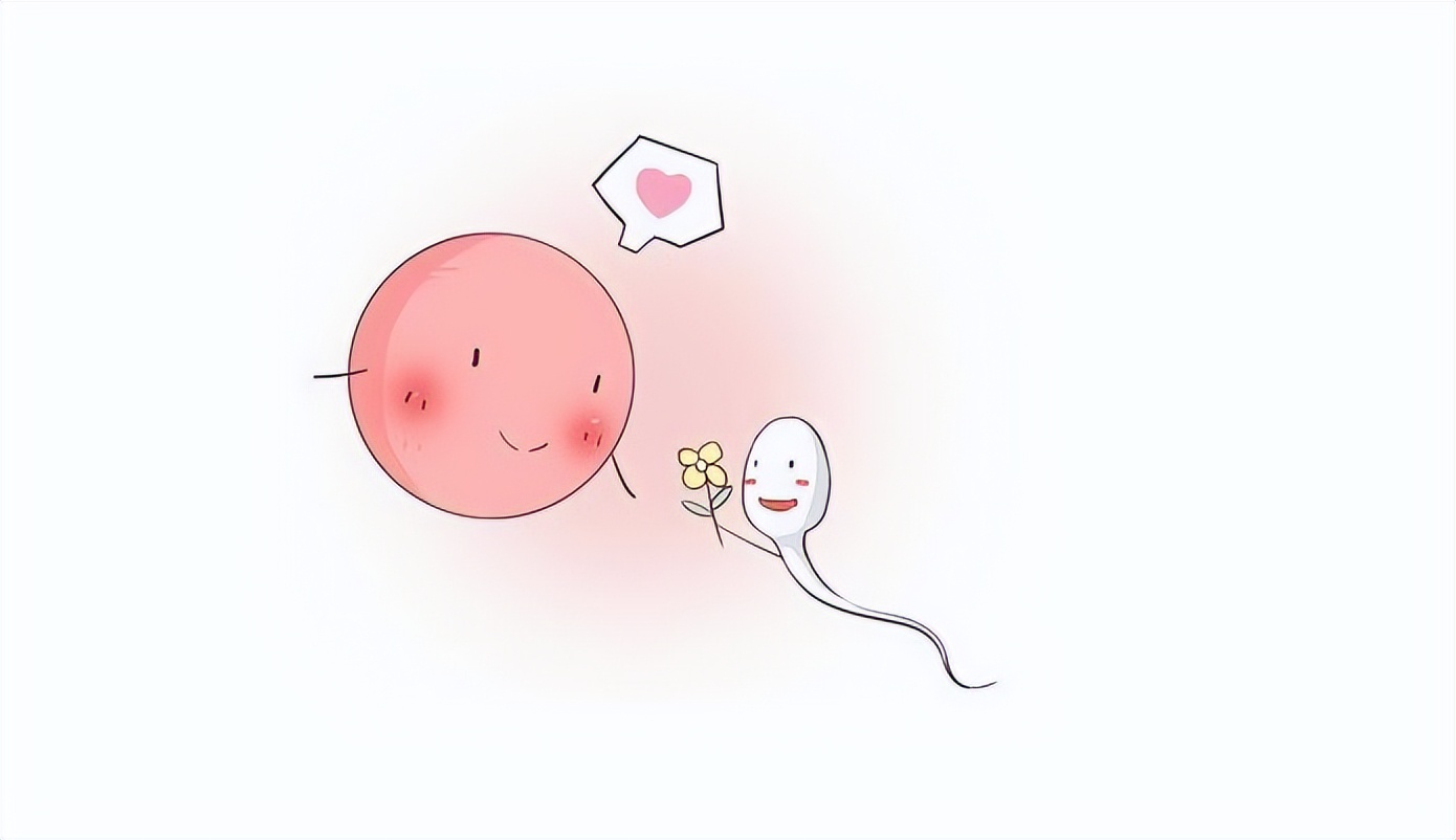 排卵日前7天备孕攻略,排卵期受孕攻略