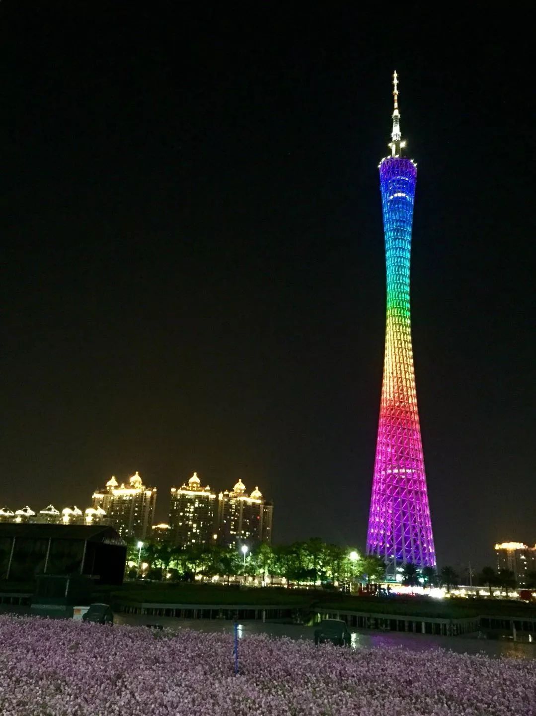 2019游记：带着爸妈福广游之广州篇（七）图书馆、荔银粥