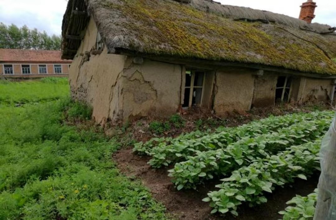 新农合涨价还能继续交吗,新农合涨价六类人不用交