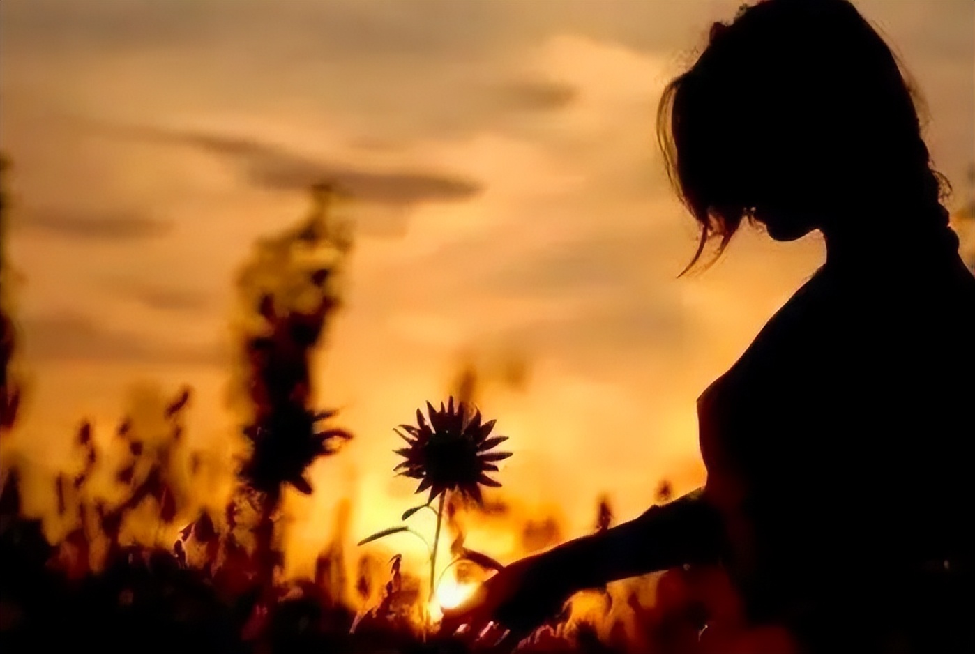 故事：醒醒吧！女人，你以为的真爱，他只不过是想白嫖而已