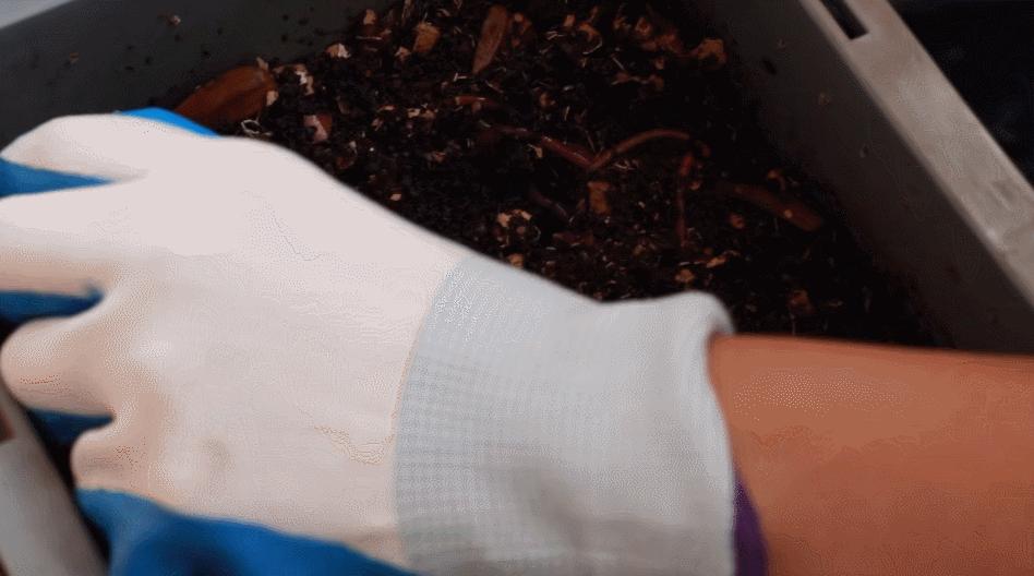 98年女孩过“极简生活”上瘾！5年不用卫生巾，2年不买卫生纸？