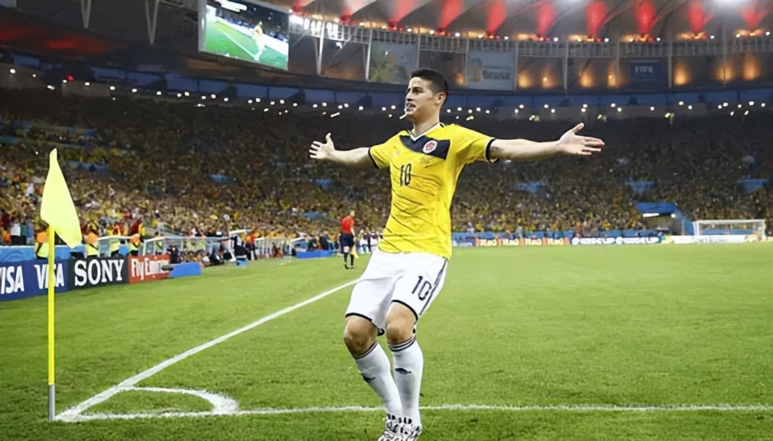 巴乔全场欢呼,世界杯精彩瞬间巴乔