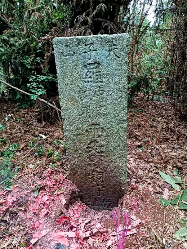 详尽有据！罗坊镇及梧桐书院的历史沿革！真的长知识了！