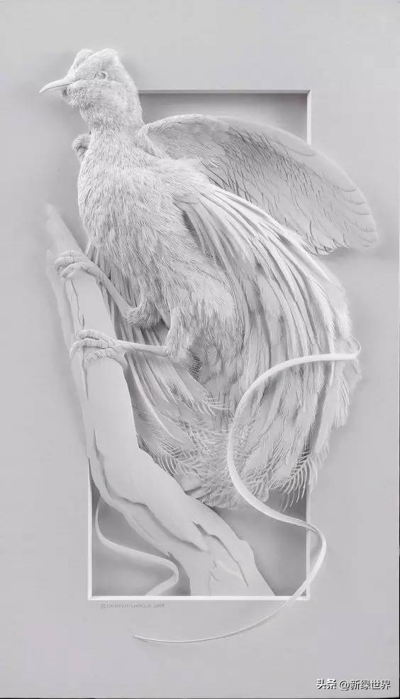 一组纸艺作品,令人惊艳的纸艺作品