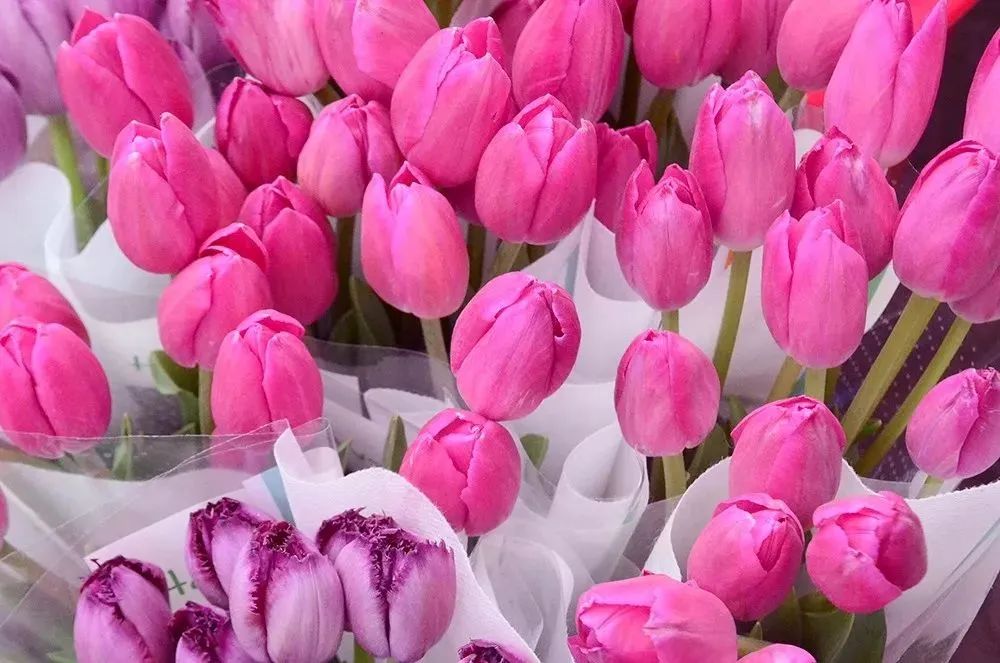 520送花|西安市内9大宝藏花市,分分钟省下上百块