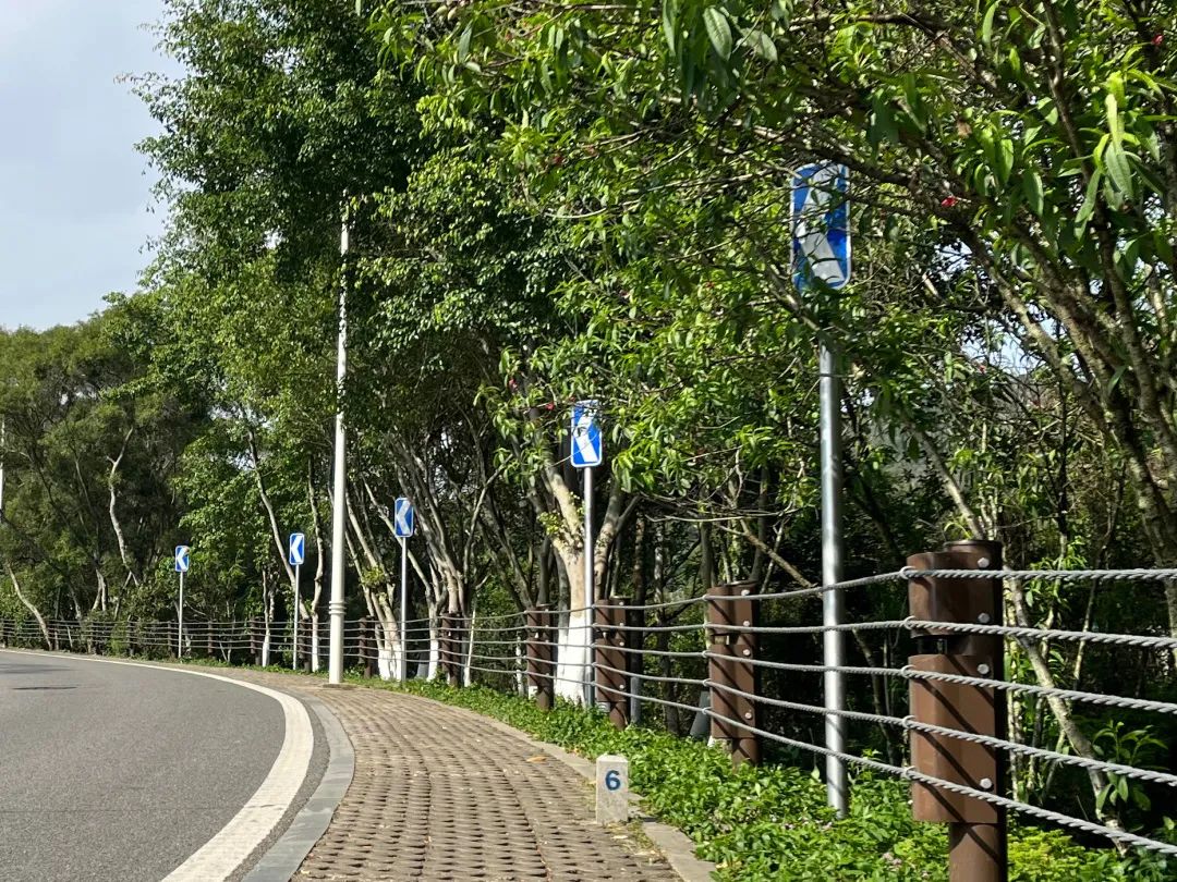 文曾路交安设施全面提升，出行旅游更安心！